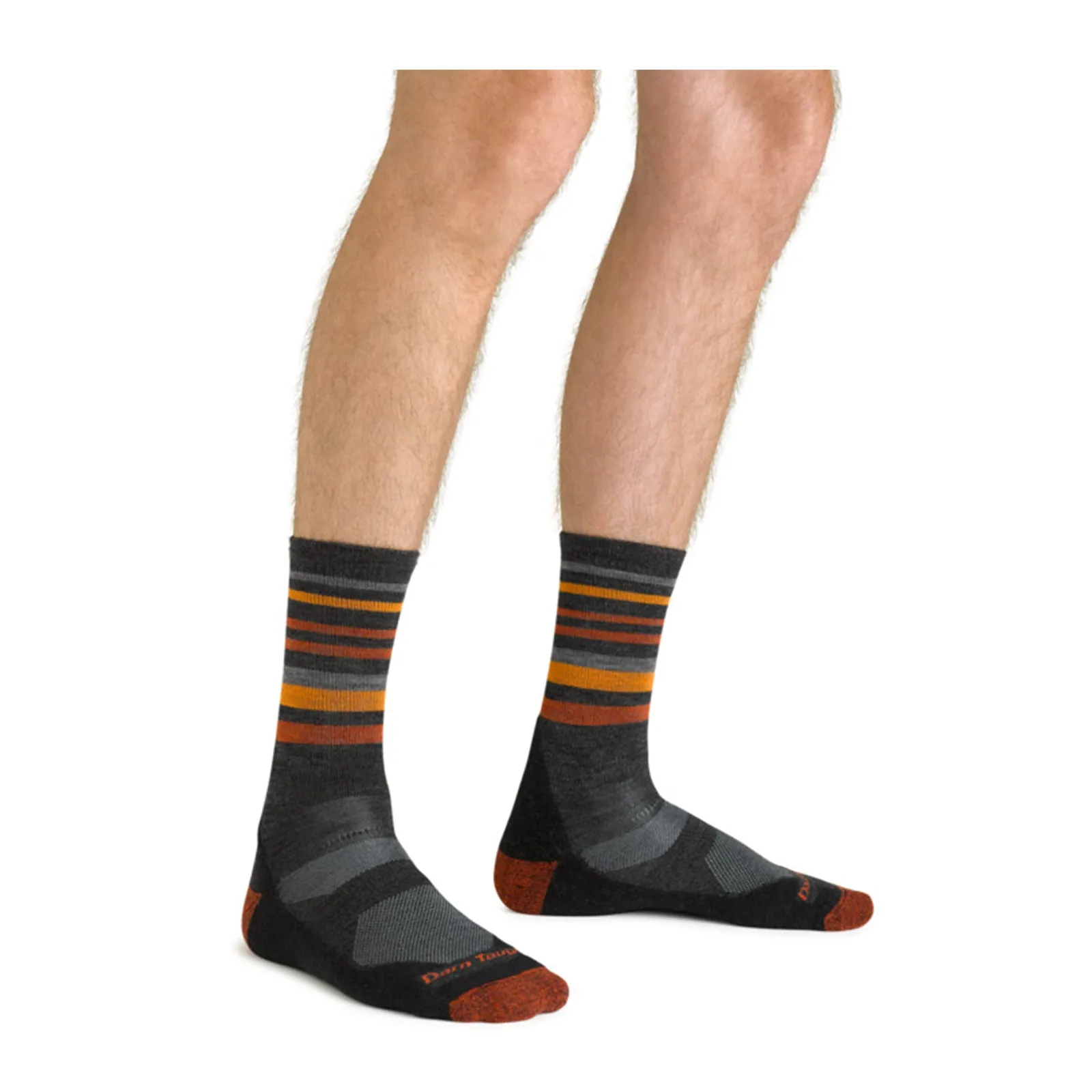 Darn Tough Fastpack Lightweight Micro Crew Sock with Cushion (Men)